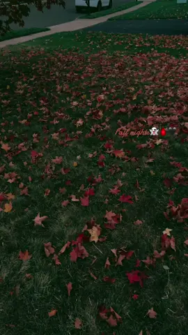 Loving these fall nights🍂🍁👻#fypシ #autumn #fall 