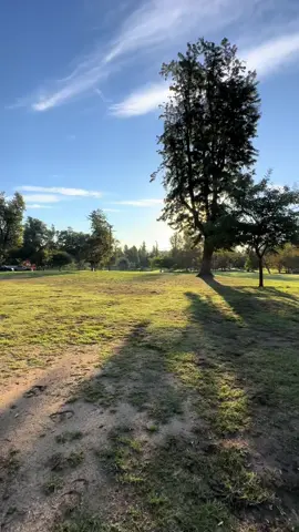 Sundays is my favorite ❤️ #run #fyp #keepgoing 