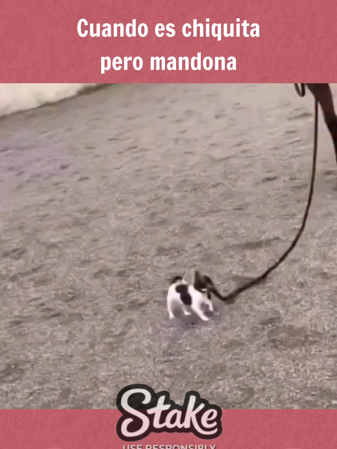 Cuando es chiquita pero mandona