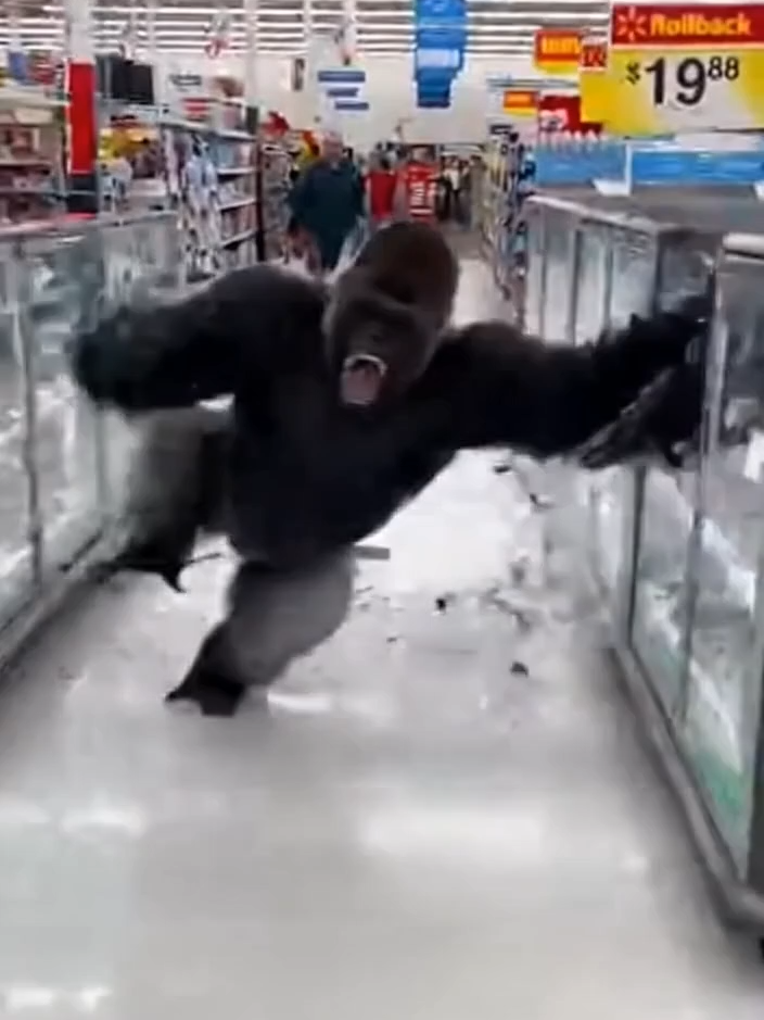 The Apes of Wrath 🦍🏬 #gorilla #walmart #sora2 #comedy #footage #edgelordmedia