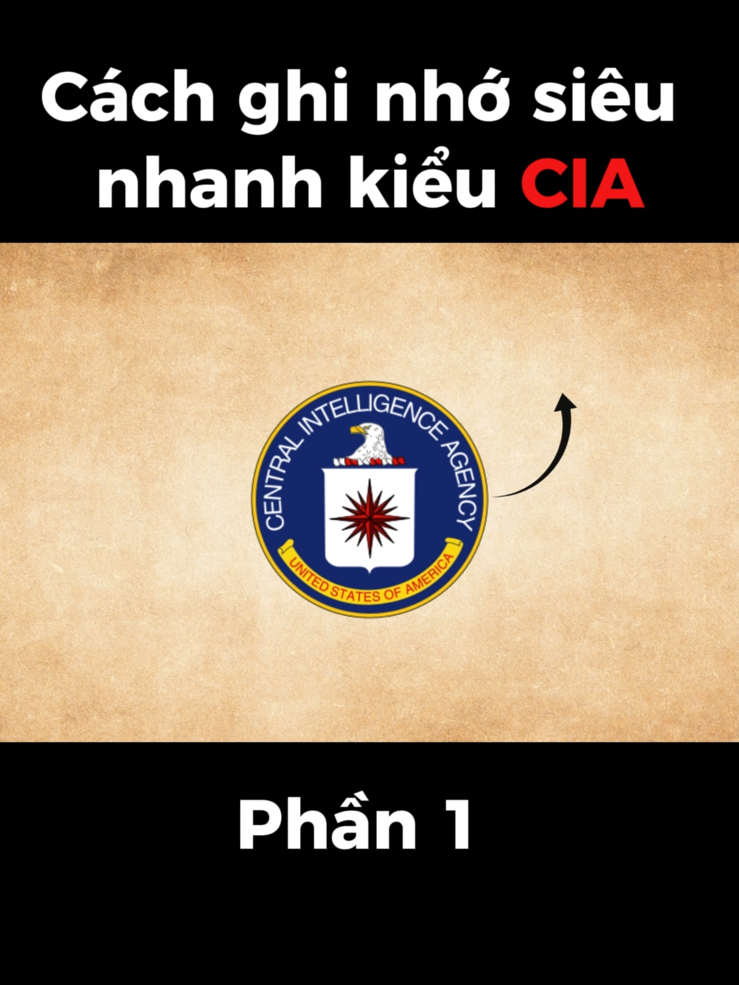 Cách Học Nhanh Chỉ Trong 4 Tuần P1 #họcnnhanh #hacknão #CIA #bíkip #hocnhanh #meohoc #memory