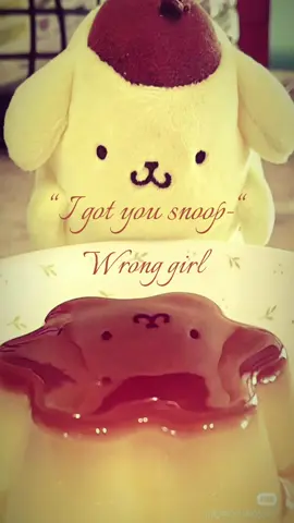 forEVER a pompompurin girl 🥹💛🤎#fyp #wishyallwerestmylevel #pompompurin#sanrio#Love 