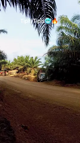 Amarasi yg stelll #viral_fyppppppppppp #Metan_Morena #amarasipride #oekabiti