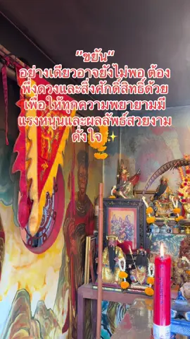 ขยันอย่างเดียวอาจยังไม่พอ ต้องพึ่งดวงและสิ่งศักดิ์สิทธิ์ด้วย เพื่อให้ทุกความพยายามมีแรงหนุนและผลลัพธ์สวยงามดั่งใจ ✨#เพชรเกษม48แยก2 #เจ้าพ่อเห้งเจีย #ขอพรโชคลาภ #สาธุๆใครเห็นคลิปนี้ร่ํารวยโชคดีทุกคน #ฟีดดดシ 