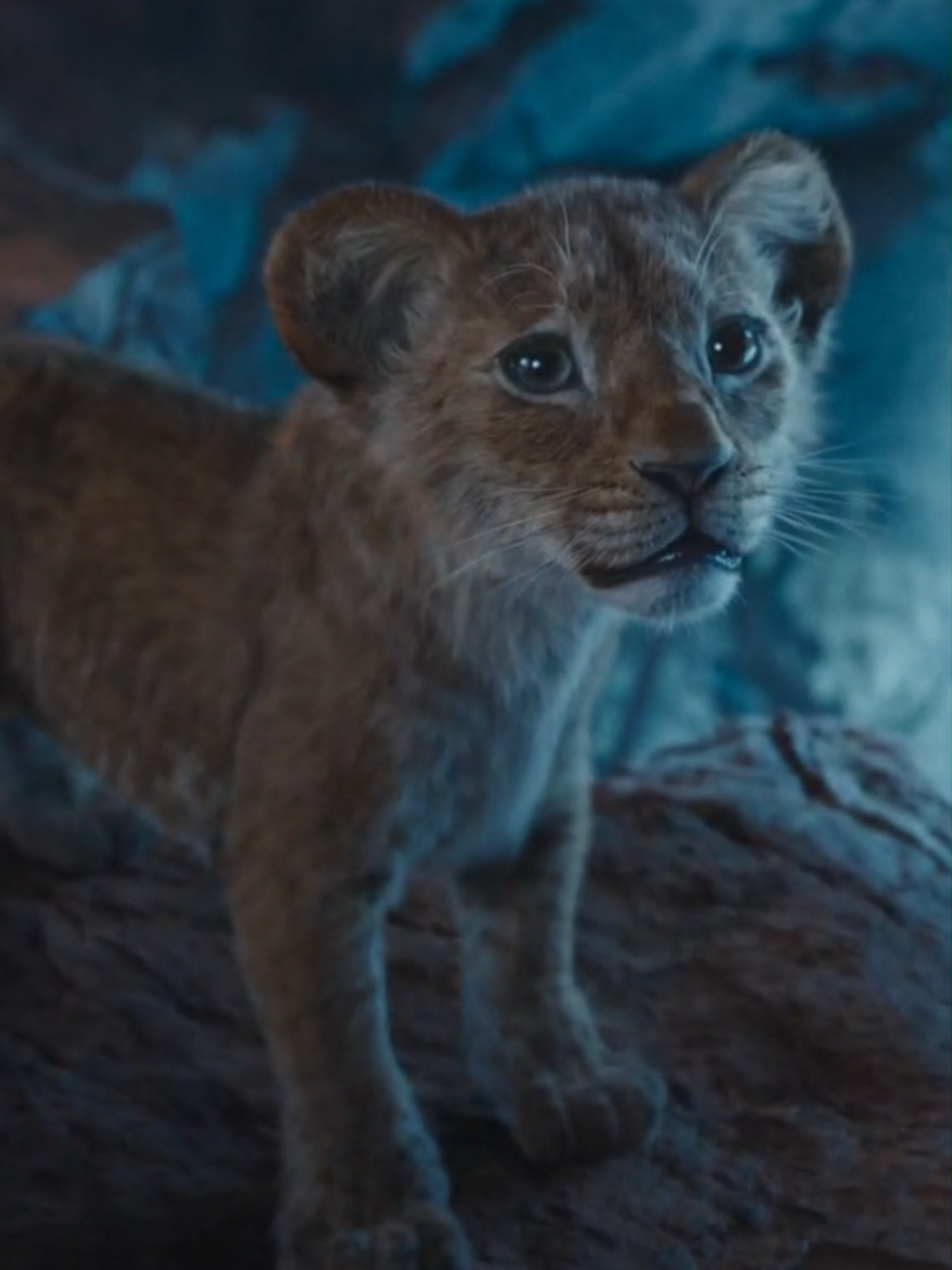 Mufasa El Rey León - ¿Quiénes son los forasteros | #disney #disneyplus #elreyleon #thelionking #mufasa #sarabi #milele #mufasathelionking #scar #taka #hermanos #kiros #timonypumba #hakunamatata #rafiki #simba #nala #circleoflife #ciclodelavida #disneymoments #heroes #disneyheroes