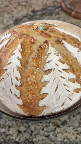 I am soooo ready for all of the Christmas recipes 🤩🎄🧣✨ this Christmas tree sourdough is one of my favorite designs #sourdough #sourdoughtok #sourdoughbread #sourdoughbaking 