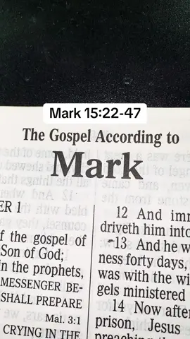 #TheLordJesusChrist #Messiah #GospelKJV #ScriptureReadingFYP #TheChiefShepherd 