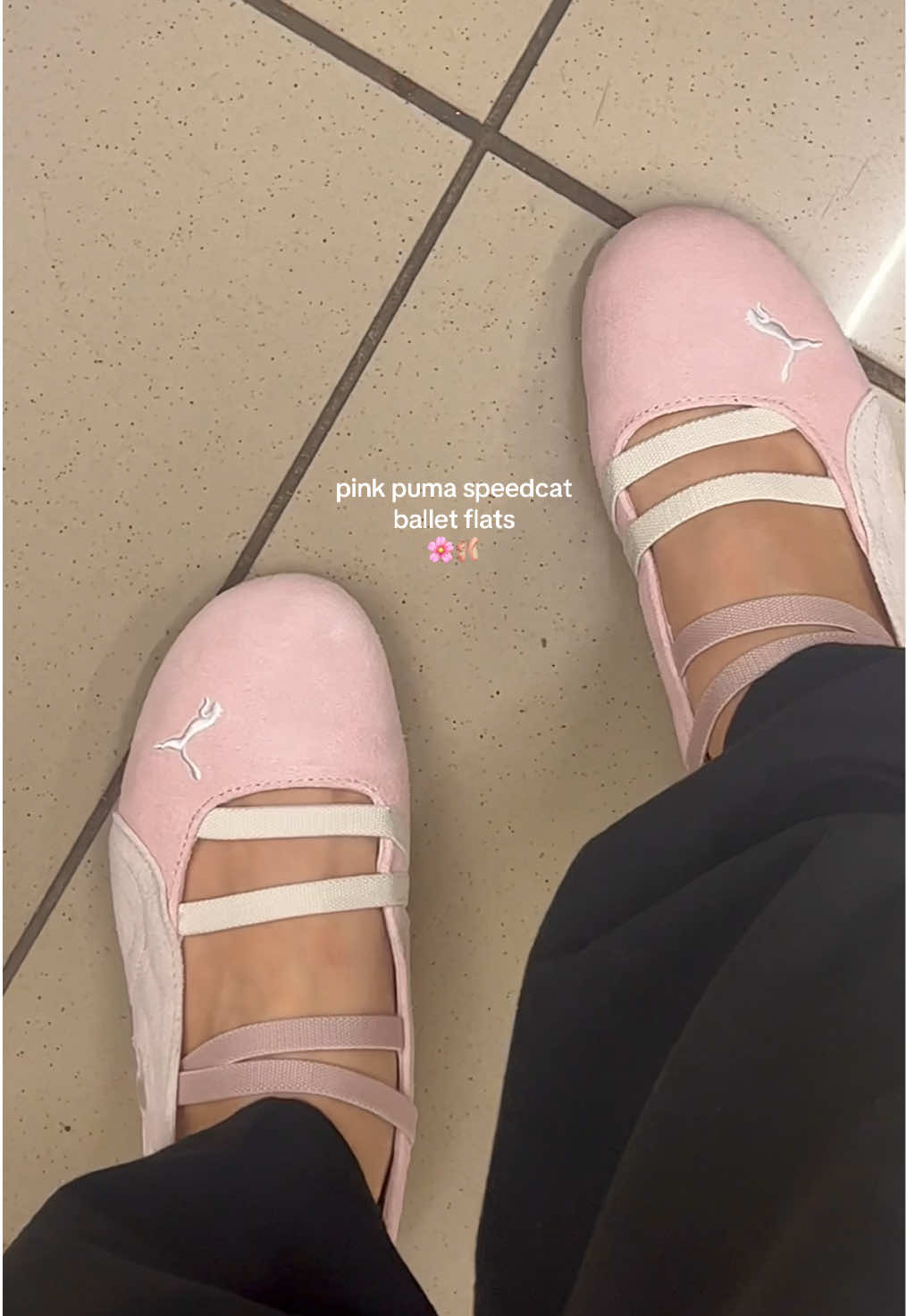 Finally, I added these to my collection!🌸🩰 -walking on clouds -easy slip-on wear -sporty + chic -comfortable @PUMA #puma #balletflats #pinkballetshoes #coquette #pumaspeedcatballet 