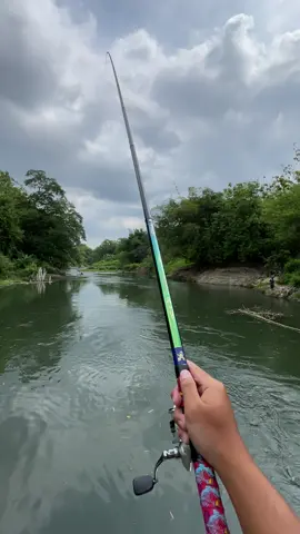 Tegek ko pring #jogjastyle #mancingmaniajogjakarta #infospot #fyp 