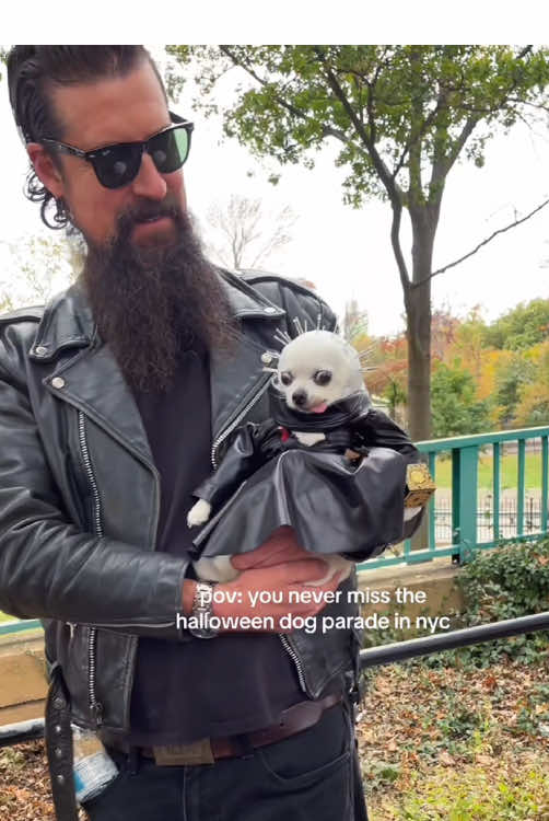 See which dog’s Halloween costume is the most impressive😂🎃#halloween #halloween2025 #halloweencostume #halloweendog #dogcostume 