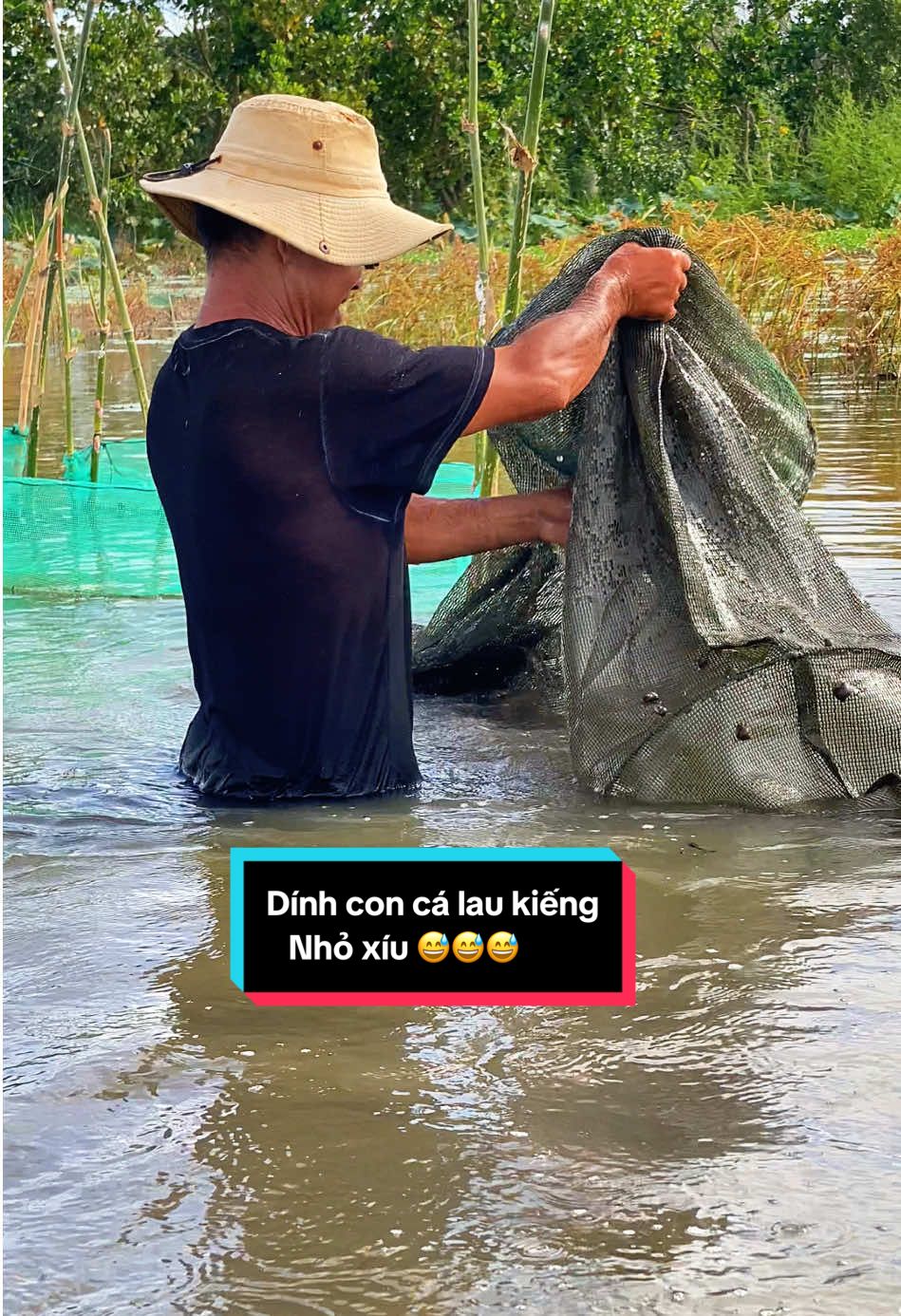 Dính con cá lau kiếng nhỏ xíu 😅😅😅. #TikTokAwardsVN #angiang67 #cuocsonghangngay #QUANBO 