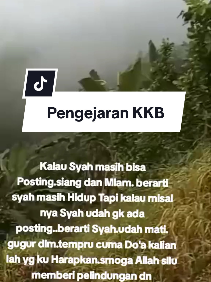 🔥#papua #news #opm #indonesia🇮🇩 #tni 