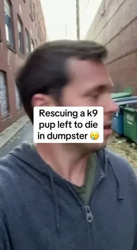 Canine dogs are something special 😅 #k9 #rescuedog #militarylife #USA #wholesome 