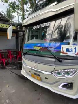 stecu stecu @ub_holiday @gaharu56 #busmania #busmaniacommunity #viralvideo #fyp #trending 