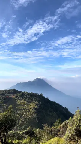 About you🤍  #merbabu #pendakigunung #beranda 