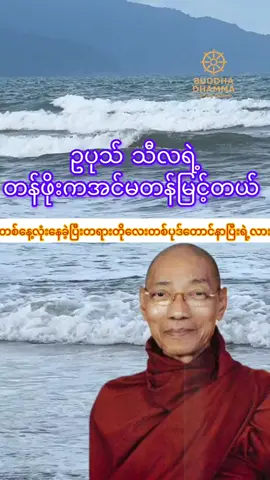 #တန်ဘိုးကြီးတဲ့ဥပေါသထသီလ #ပါချုပ်ဆရာတော်ဘုရားကြီး🙏🙏🙏 #tiktokmyanmar🇲🇲🇲🇲 #foryoupage❤️❤️❤️foryou💞💞  credit video