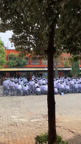 Gelombang🐳#smktjptuban #fyppppppppppppppppppppppp#smkbisasmkhebat 