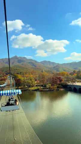 🍁 나만 알고 싶은 단풍 맛집, 서울대공원 리프트를 타고 천천히 오르다 보면 발 아래로 붉고 노란 물결이 끝없이 펼쳐져요 위에서 내려다보는 단풍은 정말 그림 같다 는 말이 절로 나와요. 리프트를 타고 동물원 산책까지 하면 연인 데이트로도, 가족 나들이로도 딱 좋은 곳이에요. 📍 위치 : 경기 과천시 대공원광장로 102 🚇 지하철 : 4호선 대공원역 2번 출구 도보 5분 🚗 주차요금 : 기본 2시간 2,000원 / 추가 10분당 400원 (하루 최대 10,000원) ⏰ 리프트 운영시간 : 10:00 ~ 18:00 (날씨에 따라 변동 가능) 🍂 영상 시기 : 24.11.10 서울 근교에서 느긋하게 가을을 즐기고 싶다면 서울대공원 단풍 코스가 정말 후회 없는 선택이에요. #단풍 #서울 #가을 #데이트 