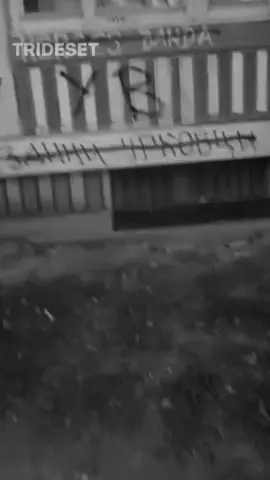 Падају ко домине! #foryou #fyp #viral #foryoupage #viraltiktok 