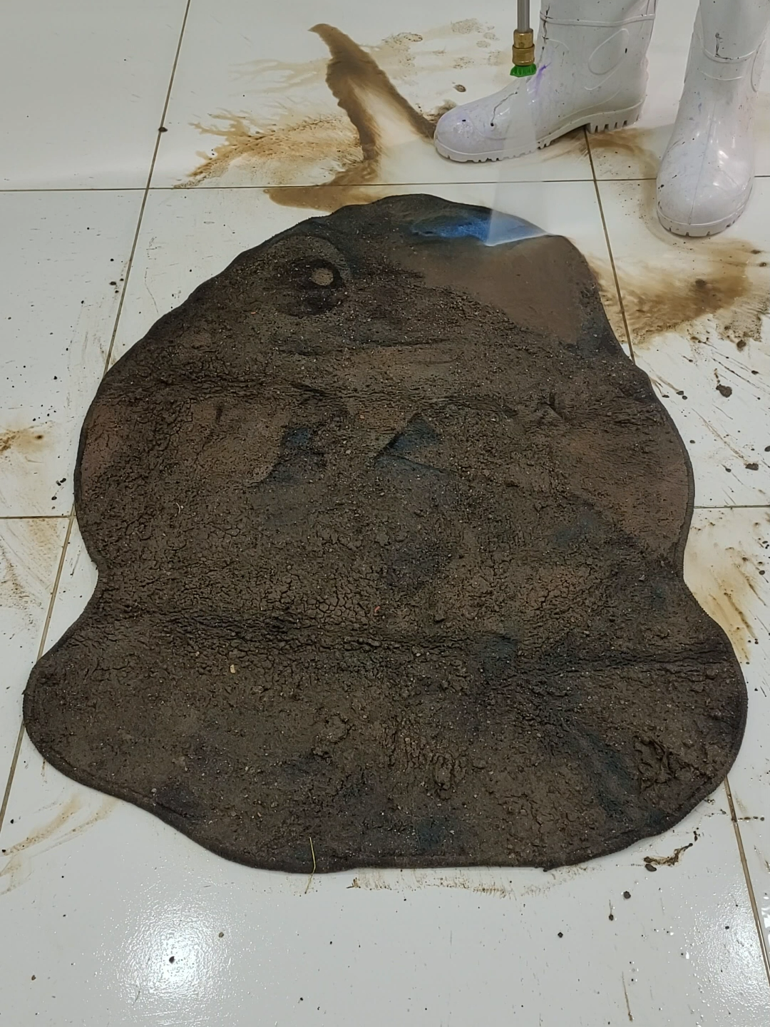 Cleaning satisfying the carpet covered in mud #asmr #RugCleaning #carpetwash #rugcleaning #asmrcleaningvideo #asmrcarpetcleaning #explore