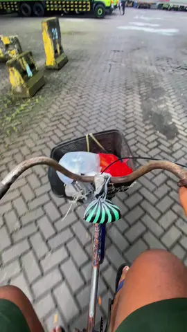 🅿️ #fajarmuliatransindo #CapCut 