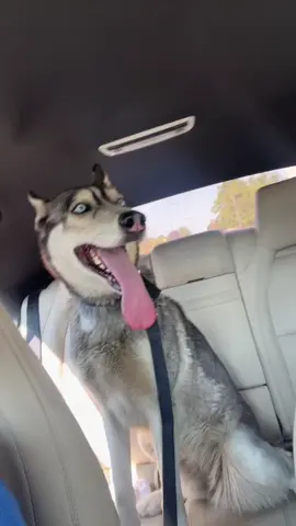 Posting my drafts 🤷‍♀️ #postingdrafts #fyp #viral #4u 