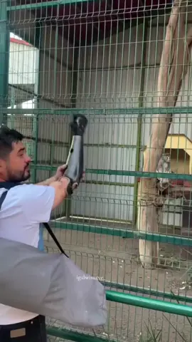 Ketawa Dosa ngak ya? 😭 #fyp #viral #lucu_ngakak #trendingvideo 