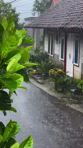 masya Allah, deras nya hujan seakan menjadi pembersih alami untuk jalanan di pedesaan 🌧️🍃#suasanahujandikampung #tinggaldikampung #suasanapedesaan #fyp #fypforyou 