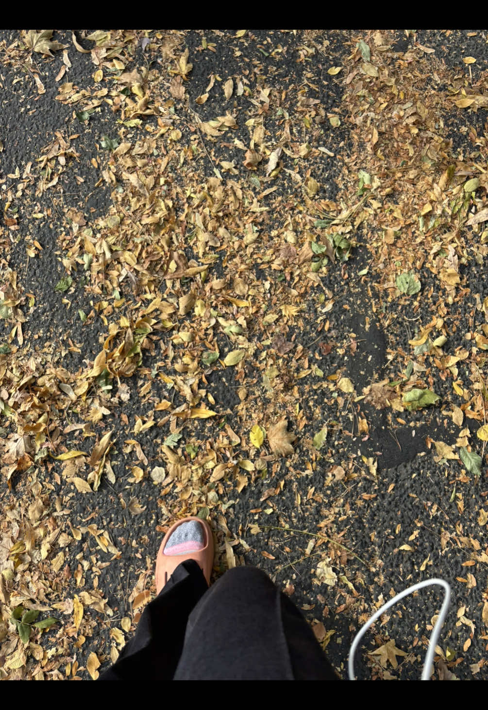 Chill lil day with 3 classes and practice 🤙.                       #vibes #collegeathlete #trackandfield #Vlog #collegevlog 