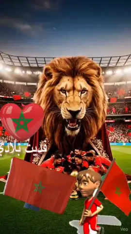 #worldcup #casablanca #morocco #tiktok #football 