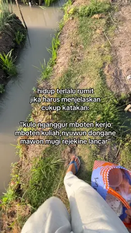 #petani#abcxyz #petaniindonesia🇮🇩🇮🇩🇮🇩🌿🌿 #fyp #4u 