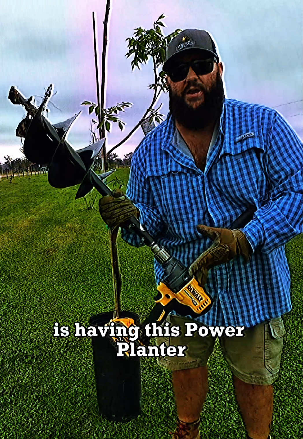 It’s Finally Fall! Come Plant a Pecan Tree with Me!