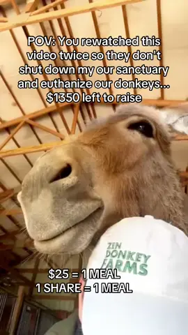 #animals #donkeylove #36secondsoflightwork #michaeljackson #36secondsoflightwork 