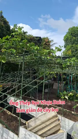 #trending #vattulamvuonbaominh #bonsai #trongrausanthuong #trongrausach 