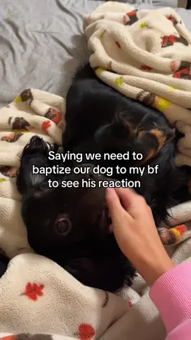 😂 #fyp #couple #couplecomedy #relationships #lukeandgracie 