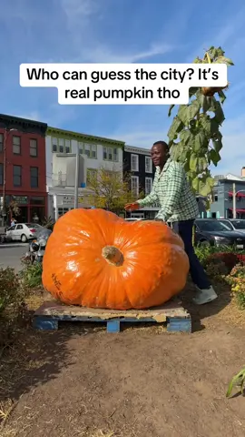 #PaidPartnership #GoLIVEGrowFast #LIVEIncentiveProgram 