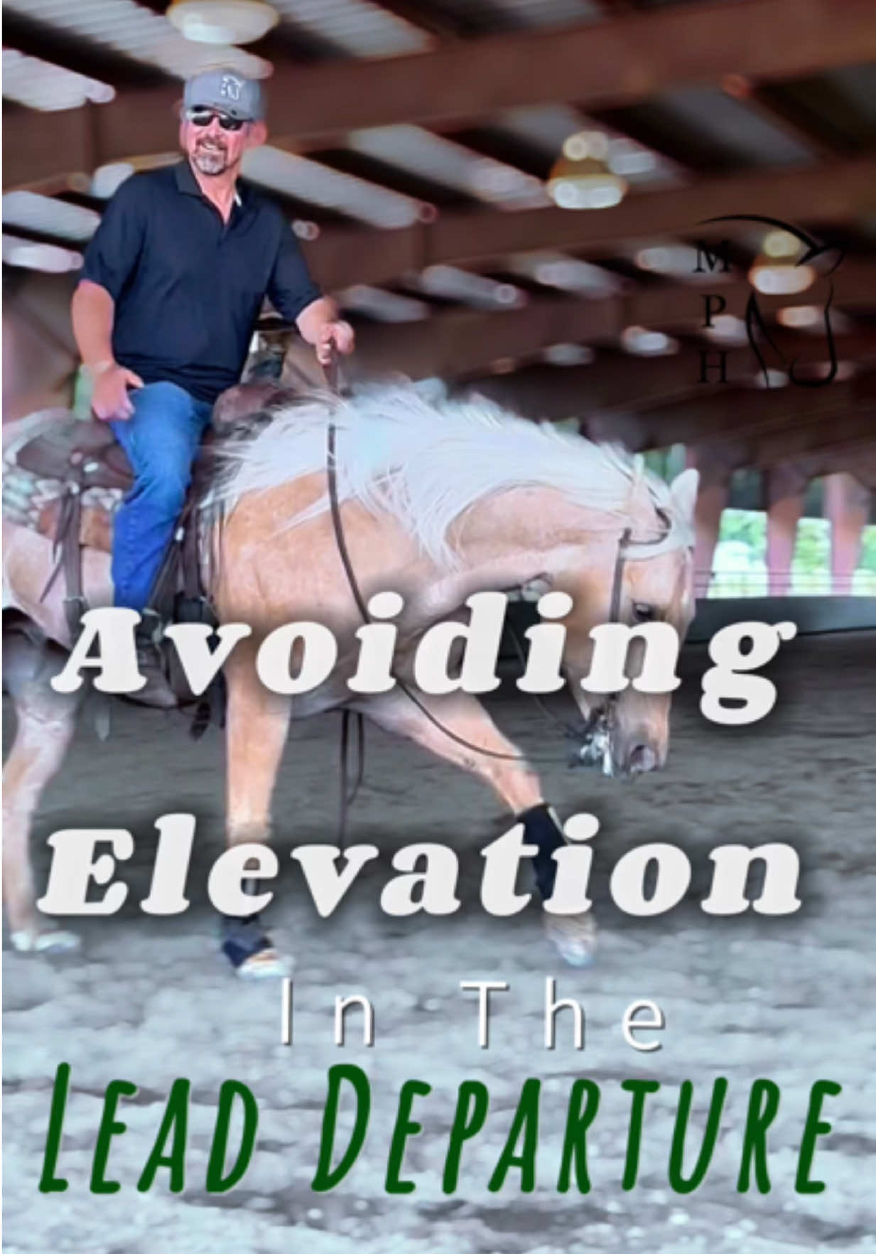 Avoiding Elevation in the Lead Departure  #riding a #horse #reiner #leads #horsesontiktok 