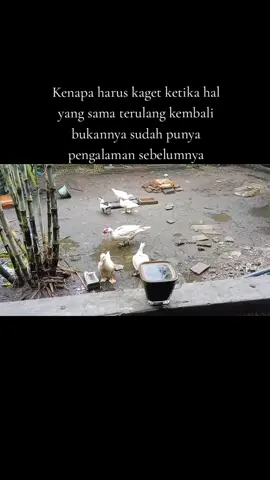 Berhenti memaklumi orang lain jika dia mempunyai fikiran dia pasti tau caranya menghargai... 