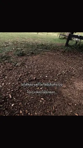 #fyp #เธรด #ฟีดดดシ #เปิดการมองเห็น 