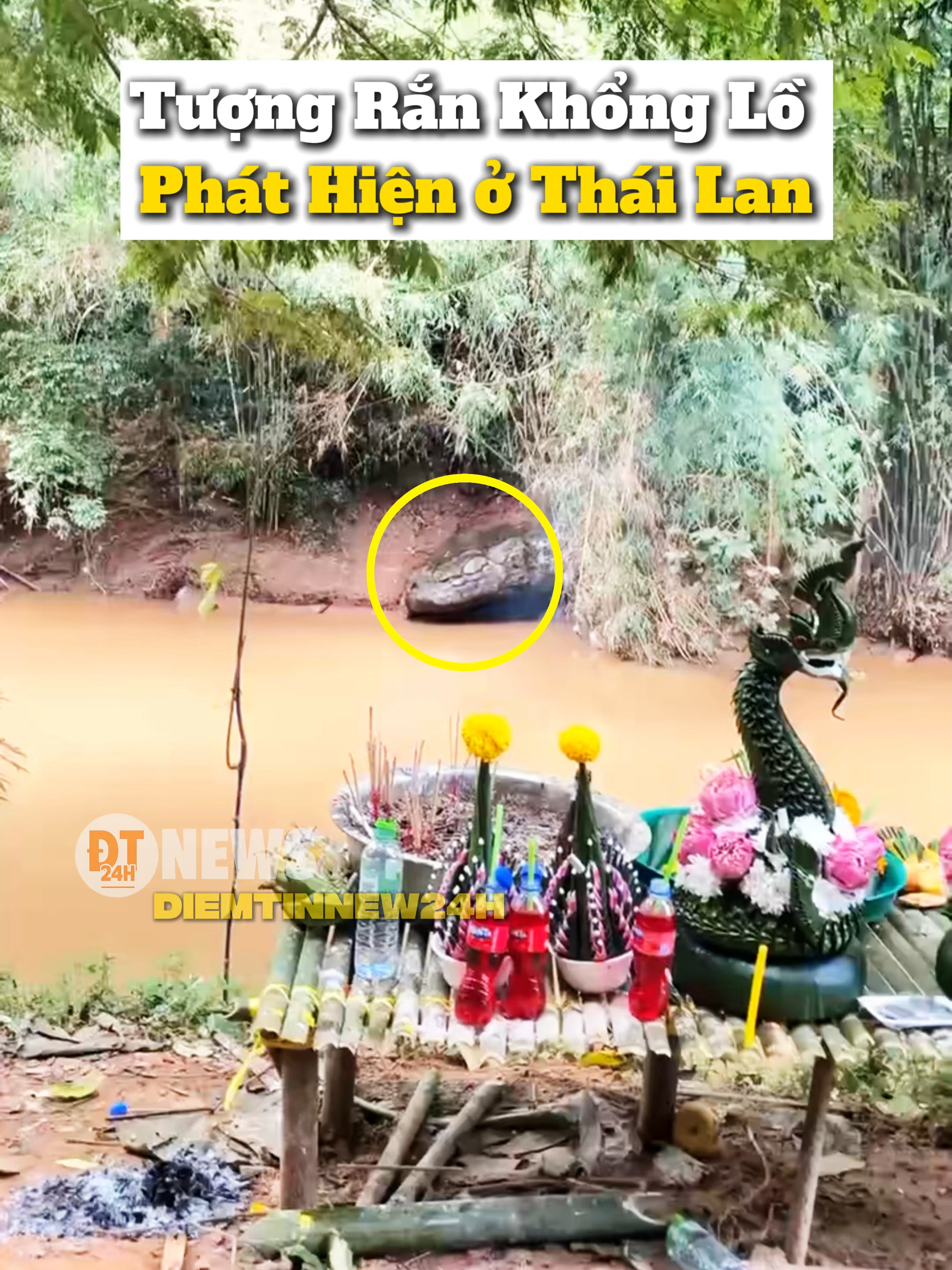 Đá hình con rắn khổng lồ được phát hiện ở Thái Lan #diemtinnew24h #tiktoknews #tintuc #thailand🇹🇭 #tamlinh