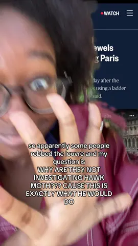 say it with me: AKUMATIZED!! #greenscreen #miraculousladybug #catnoir #hawkmoth #louvre 