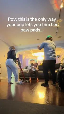 She did indeed get lots of cookies for being the best little girl 🐾🦴#minidachshund #doggrooming #DIY #happypuppy 