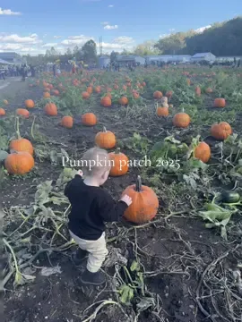 The tradition started just us, now it’s our little family’s tradition 🤍 @Tyler Sparks #fyp #pumpkinseason 
