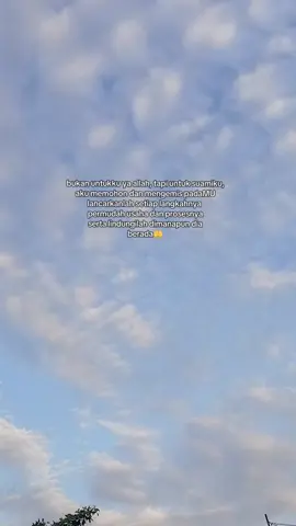 #fypage #viraltiktok #xbcyza 