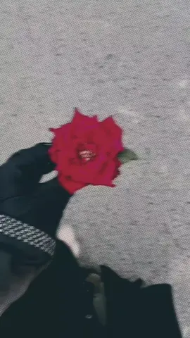 হুদাই ভাই 🙂