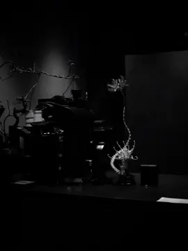 不问ciaga(不问别离) #chinesesong #chinese #song 