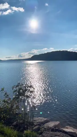 #fipシfipシforyou #fipシviral 