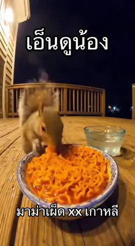 เอ็นดูน้อง #มาม่าเผ็ดเกาหลี  #อร่อยไปกิน #กระรอก #ตลกๆขําๆ55 