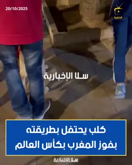 كلب يحتفل بطريقته بفوز المغرب بكأس العالم