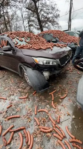 Glicks #frank #glicks #fypシ #viral 